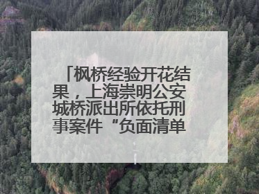 枫桥经验开花结果，上海崇明公安城桥派出所依托刑事案件“负面清单”强化派出所“主防”